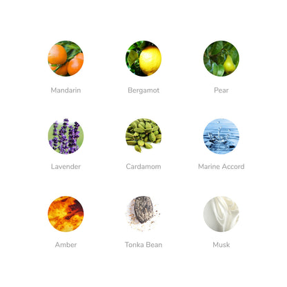 ✩ CR7 Perfume | Vanilla & Woody | Long Lasting ✩